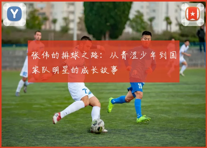 张伟的排球之路：从青涩少年到国家队明星的成长故事