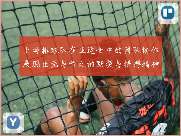 上海排球队在亚运会中的团队协作展现出无与伦比的默契与拼搏精神