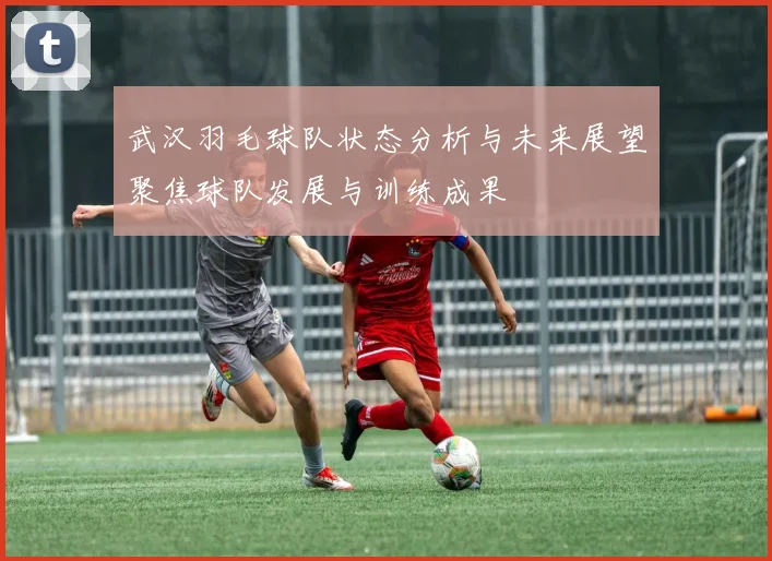 武汉羽毛球队状态分析与未来展望聚焦球队发展与训练成果
