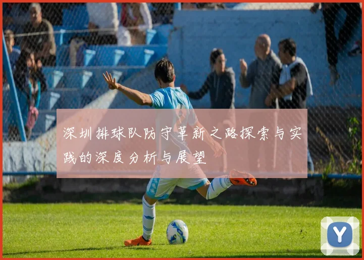 深圳排球队防守革新之路探索与实践的深度分析与展望