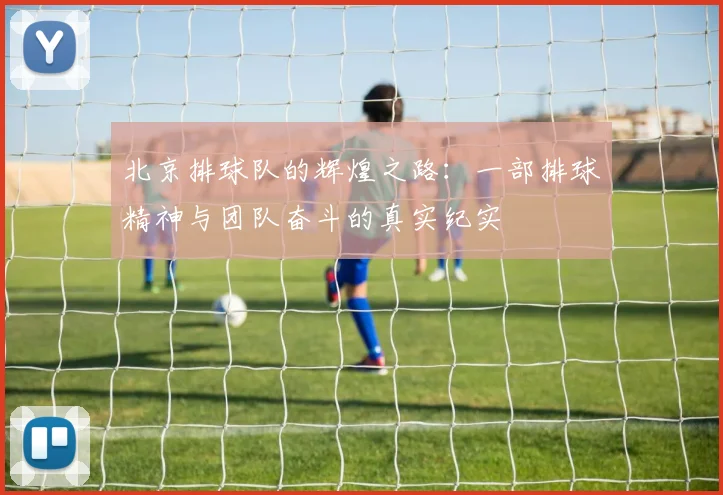 北京排球队的辉煌之路：一部排球精神与团队奋斗的真实纪实