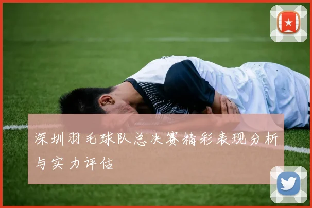 深圳羽毛球队总决赛精彩表现分析与实力评估