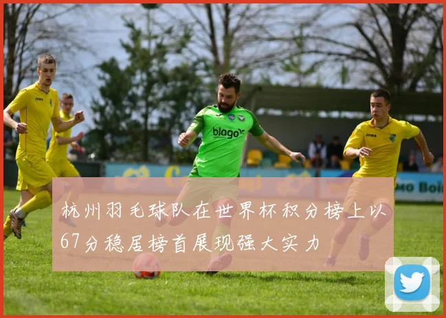 杭州羽毛球队在世界杯积分榜上以67分稳居榜首展现强大实力