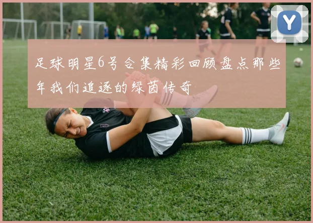 足球明星6号合集精彩回顾盘点那些年我们追逐的绿茵传奇