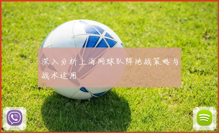 深入分析上海网球队阵地战策略与战术运用