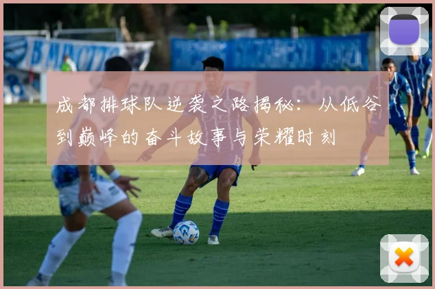 成都排球队逆袭之路揭秘：从低谷到巅峰的奋斗故事与荣耀时刻