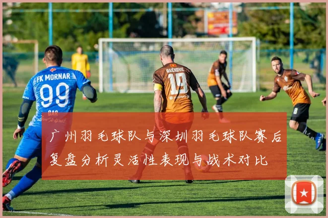 广州羽毛球队与深圳羽毛球队赛后复盘分析灵活性表现与战术对比