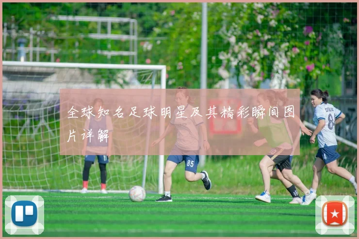 全球知名足球明星及其精彩瞬间图片详解