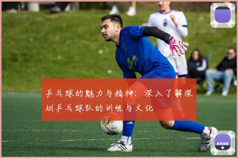 乒乓球的魅力与精神：深入了解深圳乒乓球队的训练与文化