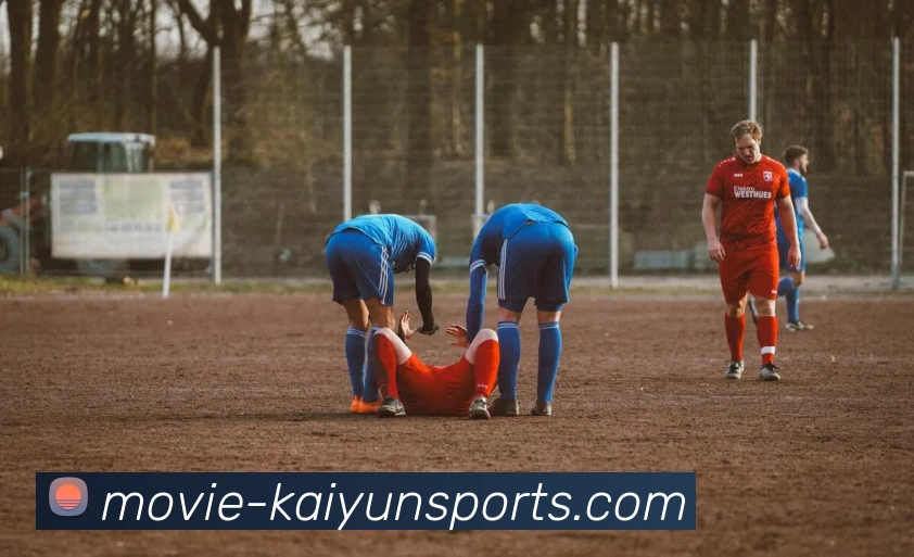 开云下载发展历程